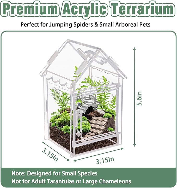 Acrylic Terrarium Kit for Jumping Spiders & Tarantulas - 3.15"x3.15"x5.6" Spider Enclosure with Magnetic Feeding Door & Secure Latch - Ideal Reptile Cage, Praying Mantis Habitat, Bug Terrarium