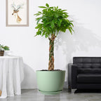 UOUZ 12/10/9 Large Modern Plant Pots, Plastic Planters with Drainage Holes and Saucers for Indoor Outdoor Plants Flowers, Green