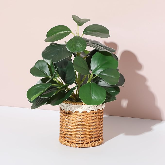 Nubry Fake Plants Artificial Potted Plants with Weaved Pot for Shelf & Table Desk | Perfect for Home Office Bathroom Farmhouse Room Coffee Table Decor 10‘’