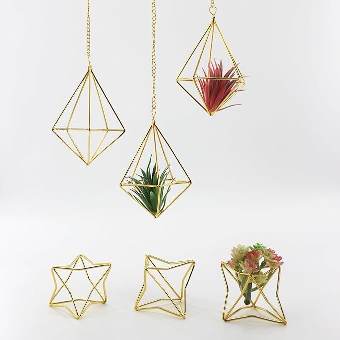 Air Plant Hangers with Chains, 6 Pcs Gold Tillandsia Holders for Wall/Ceiling Decor, 3 Hangers + 3 Stands Set, Boho Indoor Home Office Display, Modern Air Fern Plant Décor