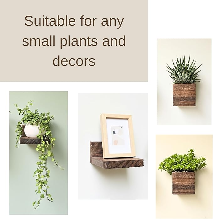 LaLaGreen Wood Planter Box for Indoor Plants (6 Pack) Wooden Wall Hanging Planters for Dried Flowers, Modern Farmhouse Wall Mount Greenery Decor Living Room, Bedroom, Kitchen, Office Home Garden