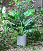 2pcs 16" Fake Plants Artificial Plants Tropical Faux Plants Indoor for Bathroom Kitchen Office Home Sage Green Decor