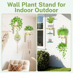 iDavosic.ly Wall Plant Holder Set of 2 for Indoor Outdoor, Metal Hanger with 2 Hooks, Floating Flower Display Stand for Window, Space Saving & Easy to Assemble (Pots/Chains/Plants Not Included), Gold