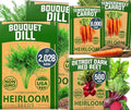 HOME GROWN Dill Seeds 2028 & Tendersweet Carrots 6000 & Detroit Dark Red Beet 500