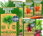 HOME GROWN Dill Seeds 2028 & Tendersweet Carrots 6000 & Detroit Dark Red Beet 500