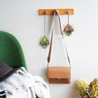 Hanging Air Plants Holders, 2Pcs Metal Air Plant Hangers for S-M Sized Air Plants, Himmeli Geometric Planter to Add a Sense of Style and Relaxation for Home Office Wedding (Black, 2pcs)