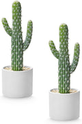 Artificial Cactus Small Fake Succulents Ceramic Plant for Home, Office, Kitchen, Living Room, Desk, Shelf, and Indoor Dec-2packs