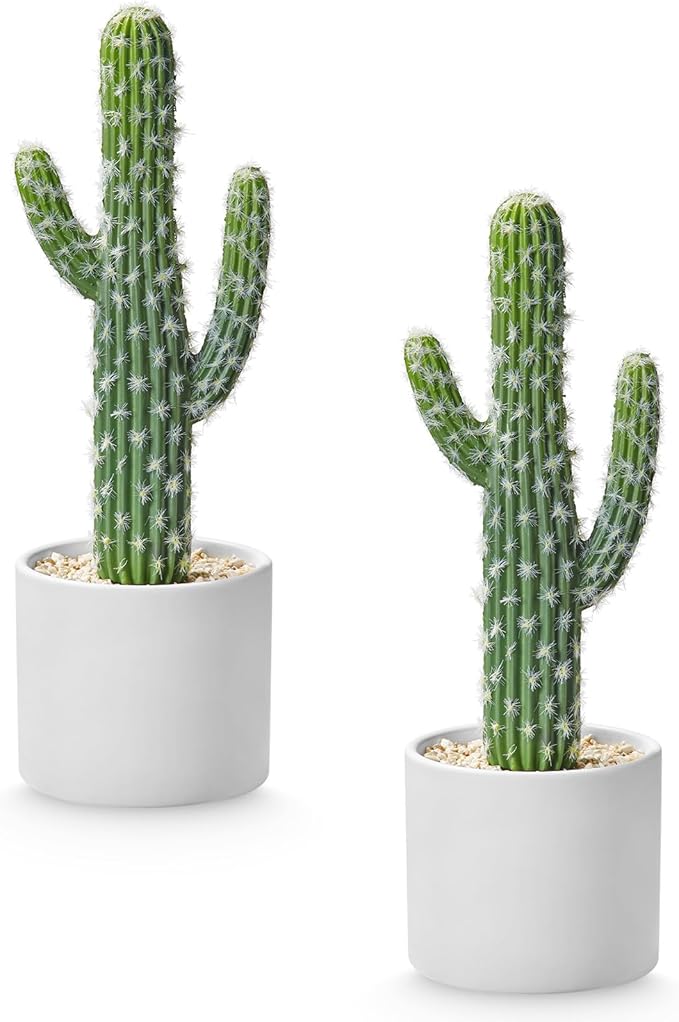 Artificial Cactus Small Fake Succulents Ceramic Plant for Home, Office, Kitchen, Living Room, Desk, Shelf, and Indoor Dec-2packs