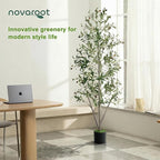 Olive Trees Artificial Indoor, 6FT Tall Faux Olive Tree with Light Kit Moss and Planter, Faux Plants Indoor with Natural Wood Trunk and Lifelike Fruits, Fake Tree for Home Office Living Room Decor