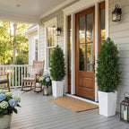Aveyas 5ft Artificial Cedar Topiary Trees, 5 ft Faux Potted Plants Evergreen Fake Pine Cypress Tree for Outdoor Porch Home Outside Door Decor (5 Feet Tall Including Raised Pot) - Set of 2 Pack