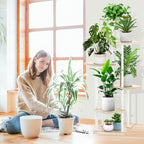 6 Tier Plant Stand Indoor, Thickened Metal Wood Corner Plant Shelf Stands for Multiple Plants, Indoor Tall Plants Stand Tiered Flower Holder for Living Room Patio Garden Balcony(White+Oak)