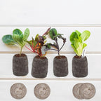 ZeeDix 100 Pcs 30mm Peat Pellets Seed Starter Soil Pods Plugs for Vegetable, Seedling Soil Block Compressed Peat Nutrient Seed Pods for Planting Easy Transplant