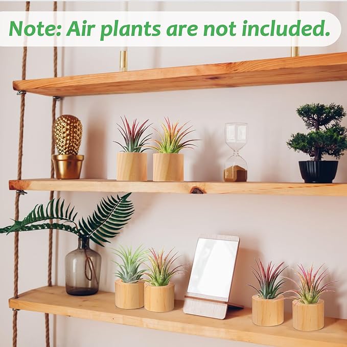 Bigmeta 6 Pcs Wood Air Plant Holder - 1.2" Rustic Style Airplant Display Stands for Women Gifts