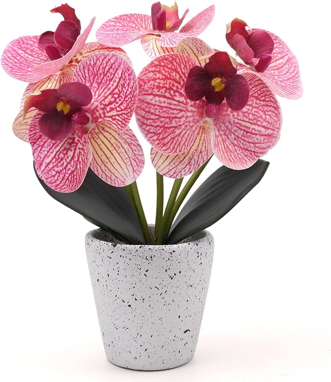 Artificial Orchid Flower Potted Plants Real Touch Small Fake Phalaenopsis Moth Decoration for Home Office Table Centerpiece Desk Shelf