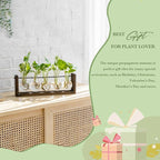 Mkono Plant Terrarium with Wooden Stand, Wall Hanging Glass Planter Desktop Plant Propagation Vase with Metal Swivel Retro Rack for Hydroponics Plants Home Office Decor (5 Bulb Vase)