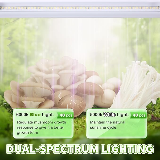Meonum Mushroom Growing Light Stand, LED Mushroom Grow Light Dual Spectrum 6000K 5000K, 2ft White Blue Grow Lamp, for 10-50 Most Quart Monotub, Easy Assembly, Energy Efficient, Optimal for Cultivation