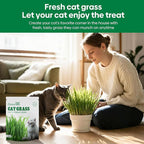 Groundio Cat Grass Seeds, 4 Oz, Non-GMO Wheat & Oat Seeds Mix, High Germination Seeds Grown in USA for Indoor Cats