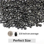 YISZM 5LB Succulent and Cactus Black Pebbles, 3/8 Inch Natural Decorative Polished Stones, River Rocks for Indoor Plants, Vases, Planters and Outdoor Gardening