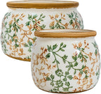 Vintage Ceramic Flower Pots - Indoor Outdoor Planters with Drainage Holes & Filter Screen, 6.5’’& 9’’ Rustic Farmhouse Decorative Plant Pots for Garden/Patio (Bicolor Vines, Small to Large Bundle)