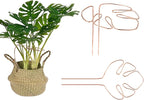 M METERXITY 2-Pack Monstera Plant Support, 11x5.9 Inch Reusable Sturdy Alloy Plant Support Stakes Unique Design for Potted Plants Flowers/Vegetables/Indoor Outdoor Climbing Plants [Copper]