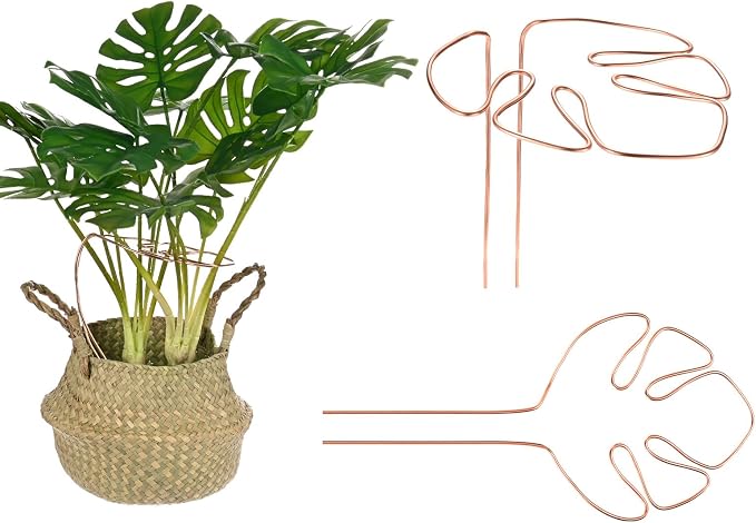M METERXITY 2-Pack Monstera Plant Support, 11x5.9 Inch Reusable Sturdy Alloy Plant Support Stakes Unique Design for Potted Plants Flowers/Vegetables/Indoor Outdoor Climbing Plants [Copper]