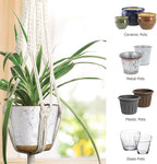 MIPON 3 Pack Macrame Plant Hanger Indoor Hanging Planter Holder with 3 Hooks, 46"/41"/34" Size for Boho Home Decor, Ivory (Pots Not Included)