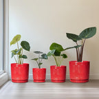 6 Inch Plant Pot, Ceramic Flower Pots for Indoor Outdoor Plants, Round Pots for Plants with Drainage Hole and Tray, Boho Decorative Planter, Kitchen Decor, Gardening Gifts for Women, Red