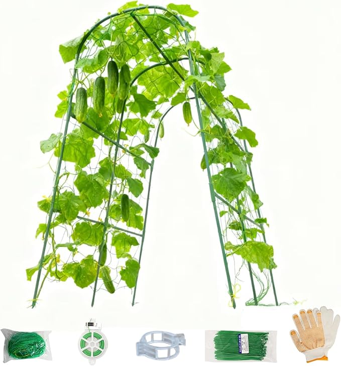 Cucumber Trellis for Raised Beds - Sturdy Arch Trellis for Peas, Beans & Climbing Plants | Outdoor Vegetable Support, Garden Trellis Kit (31" Lx30 Wx48 H)