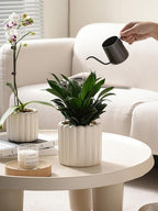 Ceramic Plant Pots,6 inch+4.7 Inch Planter Pot with Drainage Holes,Ceramic Planters for Indoor Plants,Modern Flower Pots for Indoor Outdoor Plants House & Office Décor,Cream White