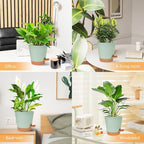Vanslogreen Planters for Indoor Plants 7/6.5/6/5.5/5 Inch, Self Watering Planters with Drainage Holes and Saucers 5 Pack Plastic Pots for Plants, Succulents, Herbs, Cactus, Flower Pots, Green