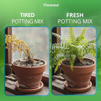 Urban Roots Potting Soil Amendment (2.2 lbs) – Revive & Refresh Old Container Soil – Plant-Based & Vegan Formula for Indoor Plants, Balcony Gardens & Herbs – Pet Safe – Odorless