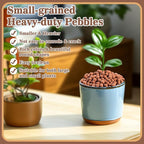Sukh Clay Pebbles for Plants - 14 OZ Pebbles for Indoor Plants Clay Used for Drainage, Decoration, Aquaponics, Hydroponics and Other Gardening Essentials Hydroton Small Pebbles Leca