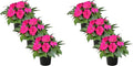 Live New Guinea Impatiens Plant - Shades of Pink (3 Plants Per Pack) - Beautiful Flowering Shade Flowers - 12" Tall by 5" Wide in 1 Qt Pot (Pack of 2)
