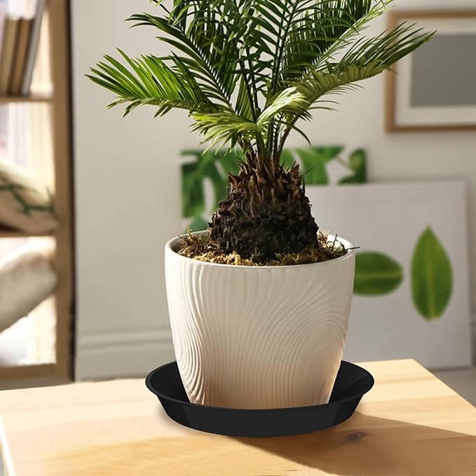 6 Pack Plant Saucer 4 6 8 10 12 14 16 18 20 22 Inch Plastic Plant Tray, Sturdy and Durable Flower Pot Container Accessories Plant Pot Saucers for Indoor and Outdoor (12 Inch, Black)