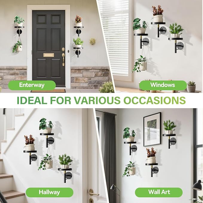 DELLAN Wall Plant Holder, 3 Pack Metal Wall Planters Stand Hanging Shelves for Indoor Plants, Window Sill Plant Decor for Bedroom, Bathroom, Living Room, Home, Office, BlackGold