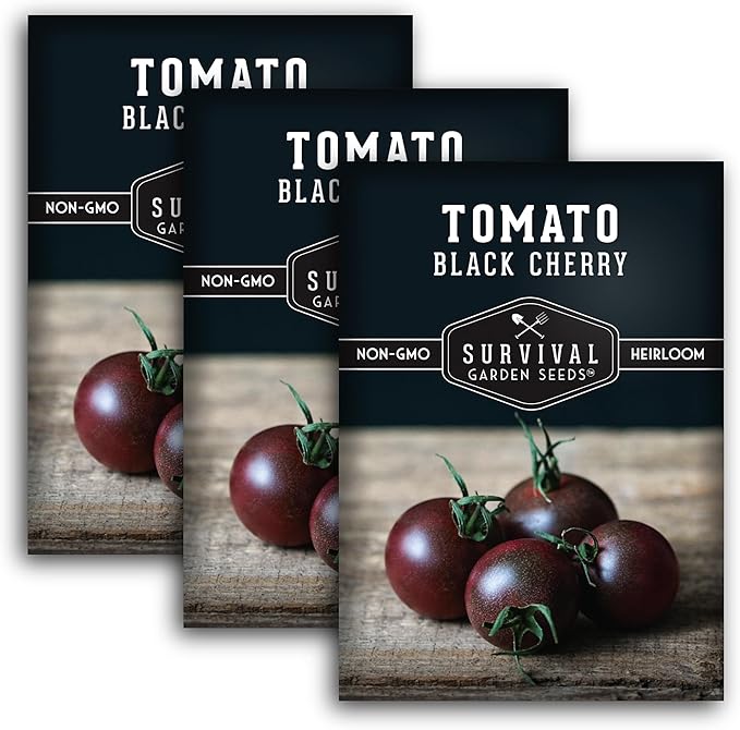 Black Cherry Tomato Seeds for Planting – Indeterminate Heirloom Non-GMO Variety – Grow High Yields of Deep Purple-Black Cherry Tomatoes with Sweet Rich Flavor – Survival Garden Seeds (3 Packs)