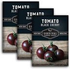 Black Cherry Tomato Seeds for Planting – Indeterminate Heirloom Non-GMO Variety – Grow High Yields of Deep Purple-Black Cherry Tomatoes with Sweet Rich Flavor – Survival Garden Seeds (3 Packs)