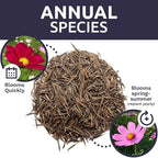Cosmos Seeds Wildflower Mixture - Bulk Quarter Pound Bag - Over 20,000 Seeds - Pink, Yellow, Orange, Red, Purple and White Mixed Species!