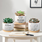 Coworker Gifts, May You Be Proud of The Work You Do, Succulent Plant Pot, Flower Cactus Planter, Employee Appreciation Farewell Gift for Coworker Colleague Work Bestie (Plants Not Included)