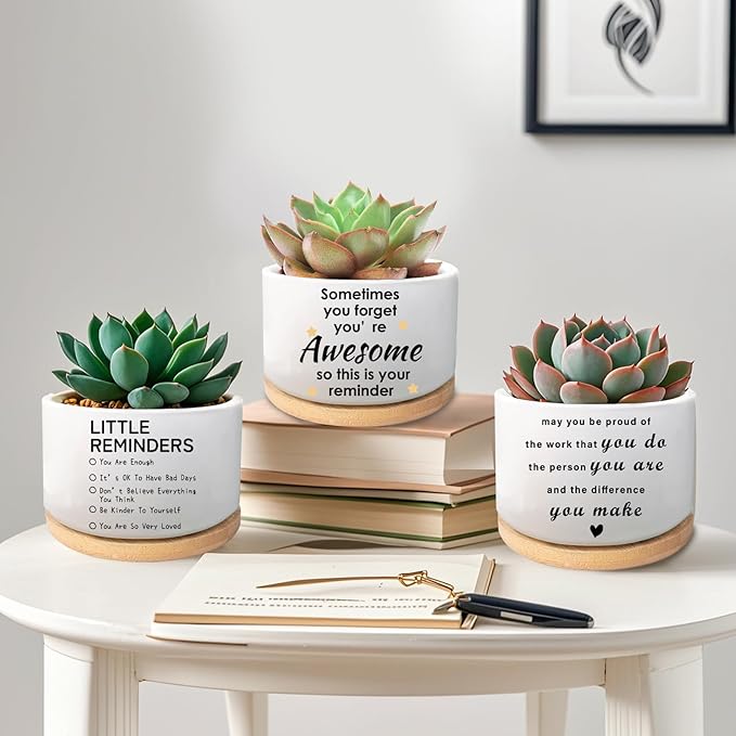Coworker Gifts, May You Be Proud of The Work You Do, Succulent Plant Pot, Flower Cactus Planter, Employee Appreciation Farewell Gift for Coworker Colleague Work Bestie (Plants Not Included)