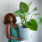Bloem Mathers 12" Misty Blue Round Modern Resin Garden Planter Pot with Drainage Holes and Removable Saucer Tray Included