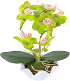 Healeved Fake Orchid Bonsai Plant in Pot, Green Phalaenopsis Artificial Flower Decoration for Indoor Home Décor, Faux Orchid Arrangement for Living Room and Office Display