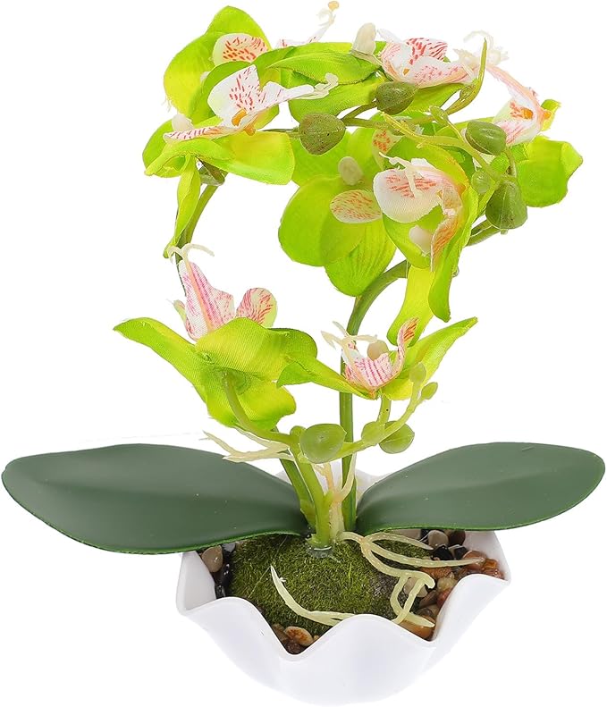 Healeved Fake Orchid Bonsai Plant in Pot, Green Phalaenopsis Artificial Flower Decoration for Indoor Home Décor, Faux Orchid Arrangement for Living Room and Office Display
