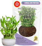 Professional Lucky Bamboo Soil Mix Large 2.2 Quarts Ready to Use, Premium Indoor Potting Soil for Lucky Bamboo Plants, Dracaena Sanderiana, Peat Moss Coco Coir Perlite Dolomite Blend Made in USA