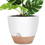 YNNICO 12 Inch Large Self Watering Plant Pot Set, Flower Pots with Multi-Mesh Drainage Holes and Saucer, Suitable for Indoor and Outdoor Garden Plants, White.