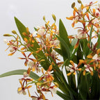3pcs Artificial Cymbidium Orchid Flowers That Look Real, Faux White-Yellow Orchid Stems for Vases, Silk Flowers for Farmhouse Home Office Indoor Tables Centerpieces Decoration (Yellow)