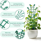 Trellis for Potted Plants (12)