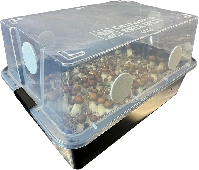 Complete Refill Kit for Medium 48Q Monotub - Includes Grain Spawn & Bulk Substrate