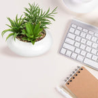 Hollyone Large Artificial Succulents Plants Faux Succulents in Pots Fake Succulent Plastic Potted Plants with White Ceramic Pot for Home Decor Office Desk Bathroom Shelf Living Room Decoration