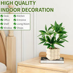 Small Money Tree Bonsai 10 inch Artificial Desk Plant in White Ceramic Pot, Realistic Indoor Faux Potted Pachira Money Plant for Home Office Living Room Decor(Maintenance Free)